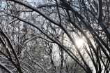 哈尔滨太阳岛：冰雪与阳光的交响